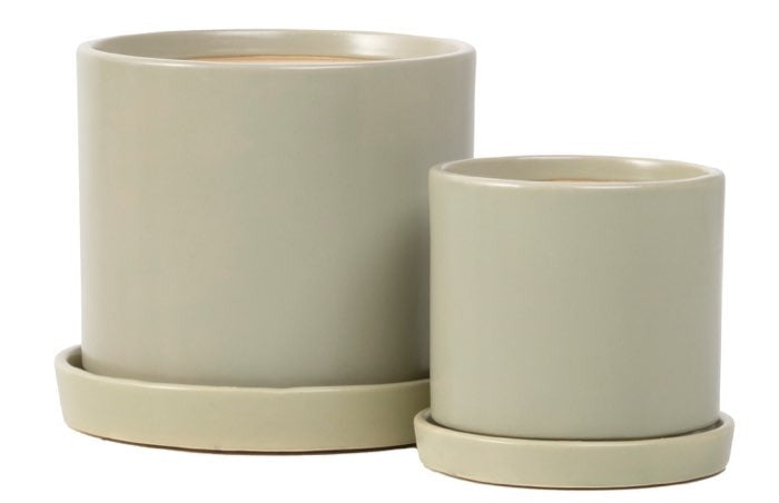 Petits Cylinder Pot with Attached Saucer - Sage