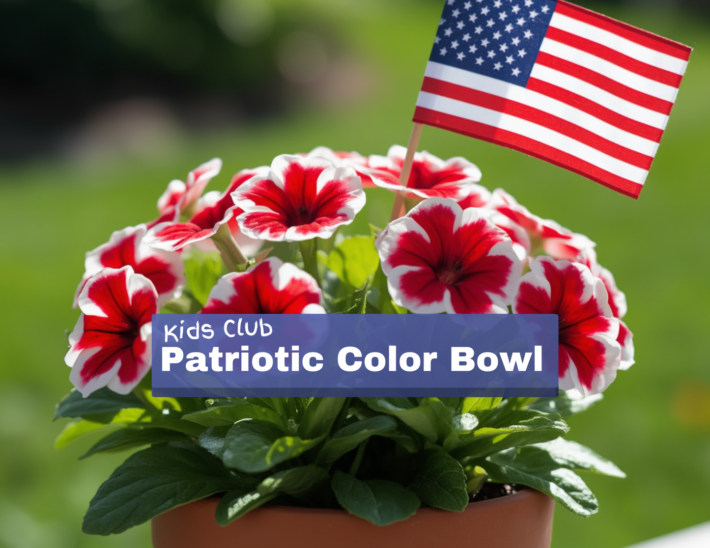 Kids Club - Patriotic Color Bowl | July 4 and 5