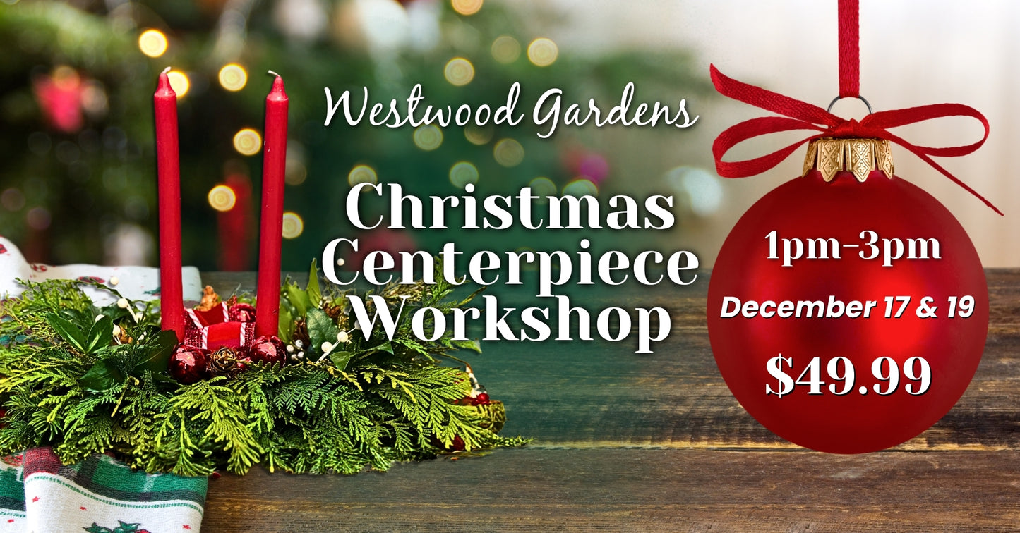 Christmas Centerpiece Workshop