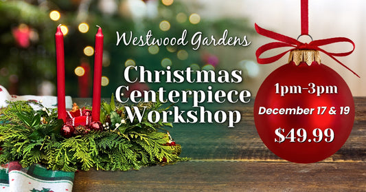 Christmas Centerpiece Workshop