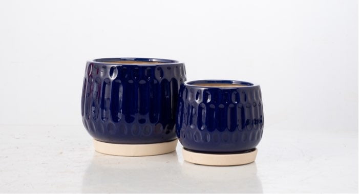 Penta Petits Pot with Attached Saucer - Blue