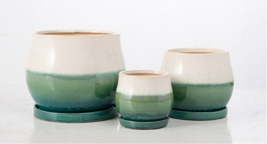 Mesa Petits Pot with Attached Saucer - Cactus Tri-Tone