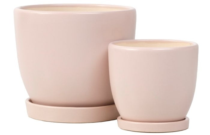 Petits Egg Pot with Attached Saucer - Taupe