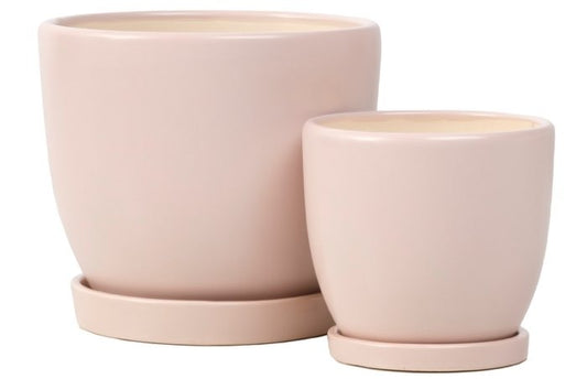 Petits Egg Pot with Attached Saucer - Taupe