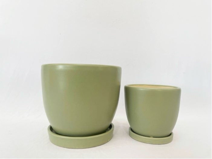 Petits Egg Pot with Attached Saucer - Sage