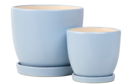 Petits Egg Pot with Attached Saucer - Bay Blue