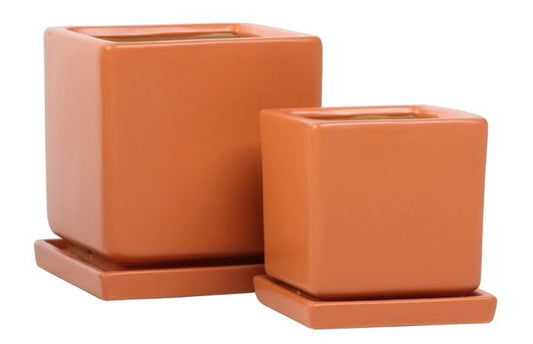 Petits Square Pot with Attached Saucer - Papaya