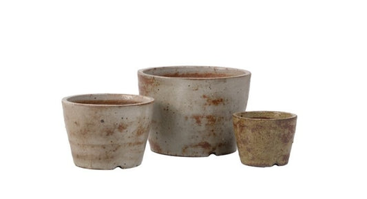 Picchu Earthenware Petits Planter - White Rustica