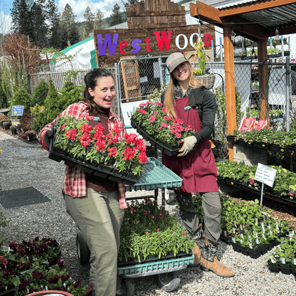 Spring Fling | Saturday April 11 5pm-7pm