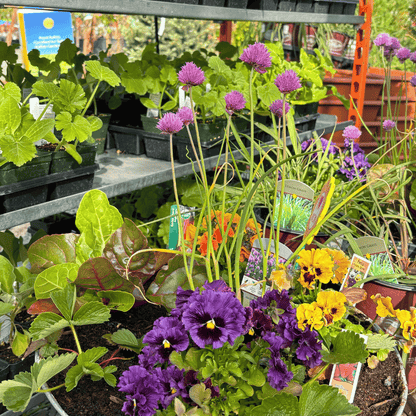 Spring Fling | Saturday April 11 5pm-7pm