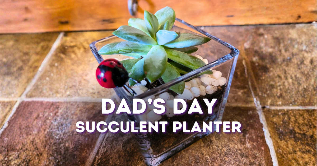 Kids Club - Succulent Planter for Dad | June 20 and June 21