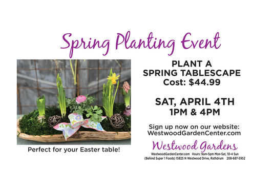 Spring Tablescape Workshop | April 4