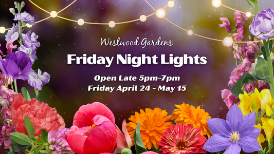 Friday Night Lights RSVP
