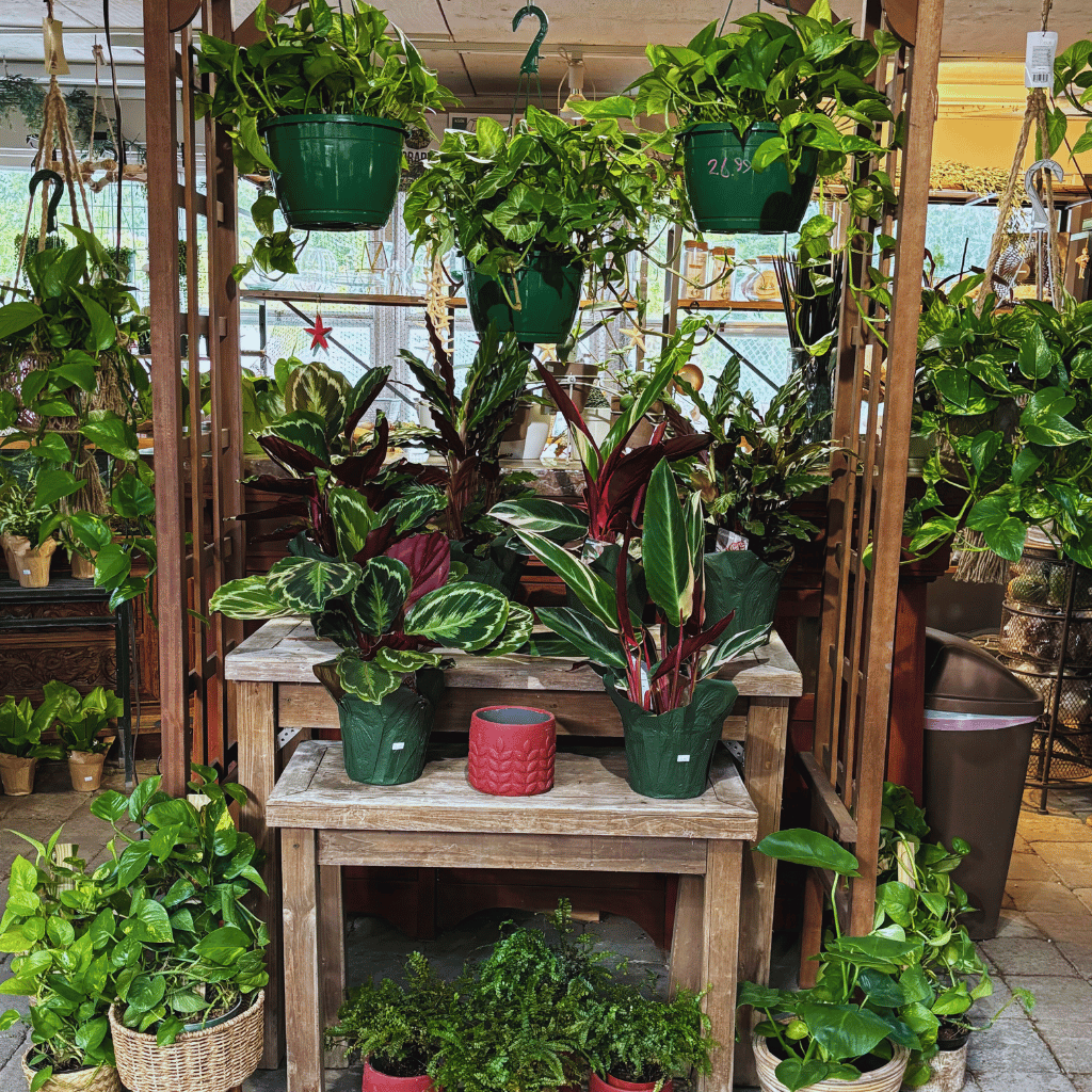 Spring Fling | Saturday April 11 5pm-7pm