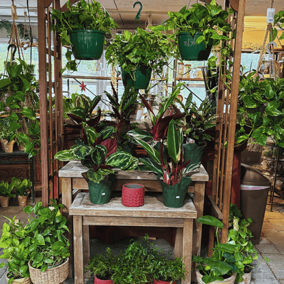 Spring Fling | Saturday April 11 5pm-7pm