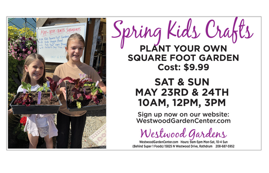 Kids Club - Square Foot Garden | May 23-24