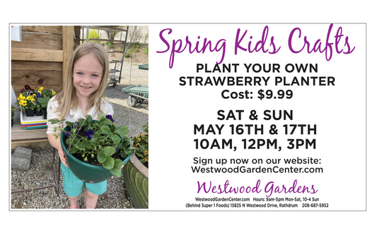 Kids Club - Strawberry Planter | May 16-17