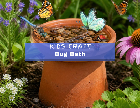 Kids Club - Bug Bath | August 29-30