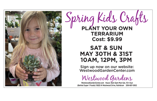 Kids Club - Plant your Own Terrarium | May 30-31