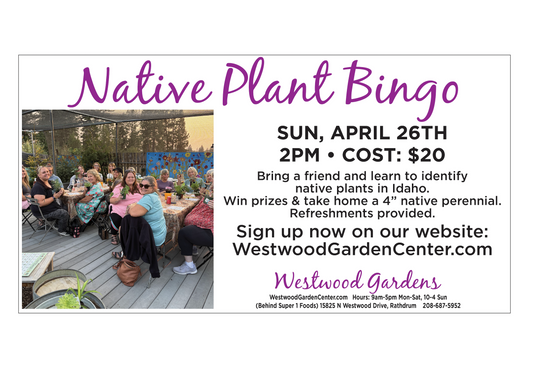 Advertisement for Native Plant Bingo event at Westwood Gardens with people gathered outdoors.