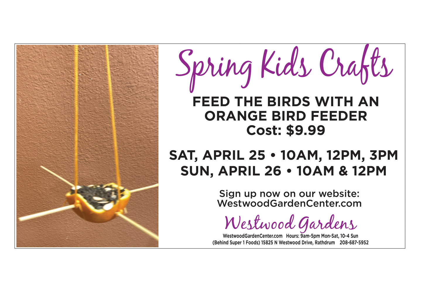 Kids Club - Orange Bird Feeder | April 25-26