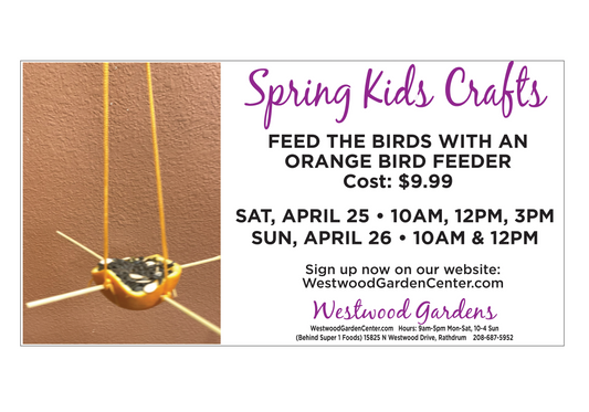 Kids Club - Orange Bird Feeder | April 25-26