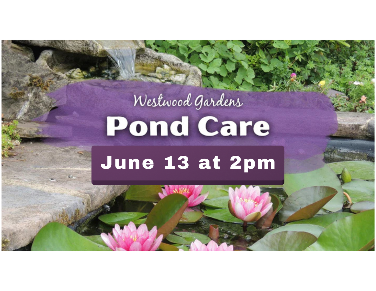 Pond Care with Jodee | Saturday June 13 at 2pm