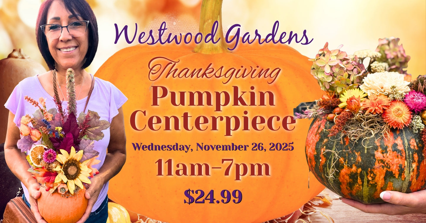 Advertisement for Westwood Gardens Thanksgiving Pumpkin Centerpiece event with a woman holding pumpkins and flowers.