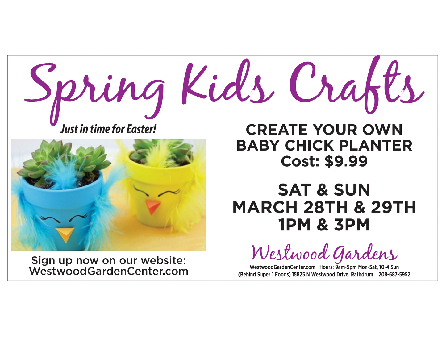 Kids Club - Chick Planter | March 28-29