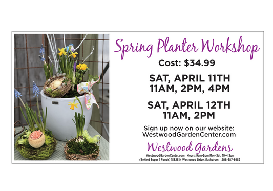 Spring Planter Workshop | April 11-12