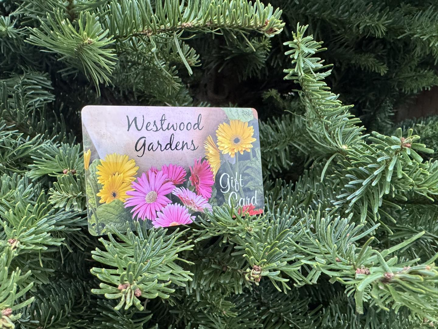 Gift Card – Westwood Gardens