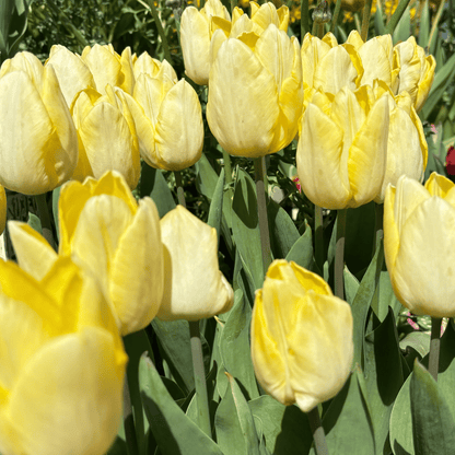 Spring Tablescape Workshop | April 4