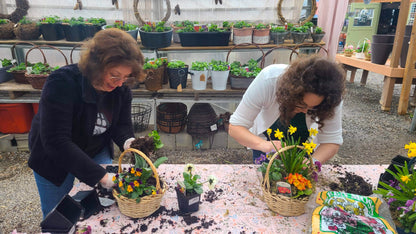 Live Easter Basket | March 28-29