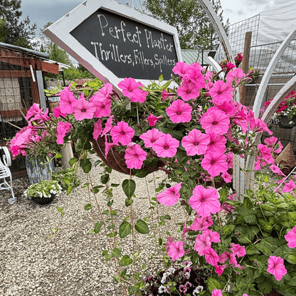 Mother's Day Planting Event | May 2-3 and May 9-10