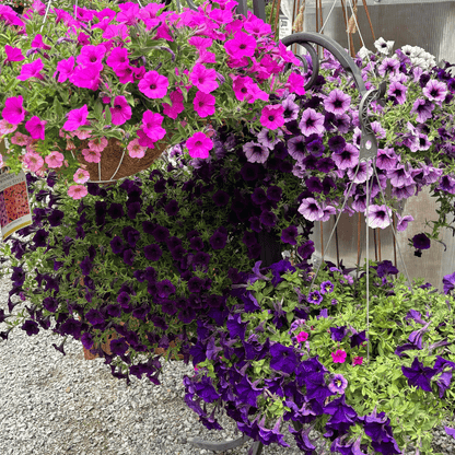 Mother's Day Planting Event | May 2-3 and May 9-10