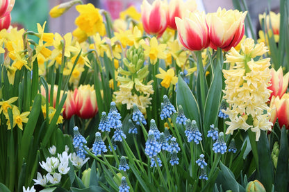 Spring Tablescape Workshop | April 4