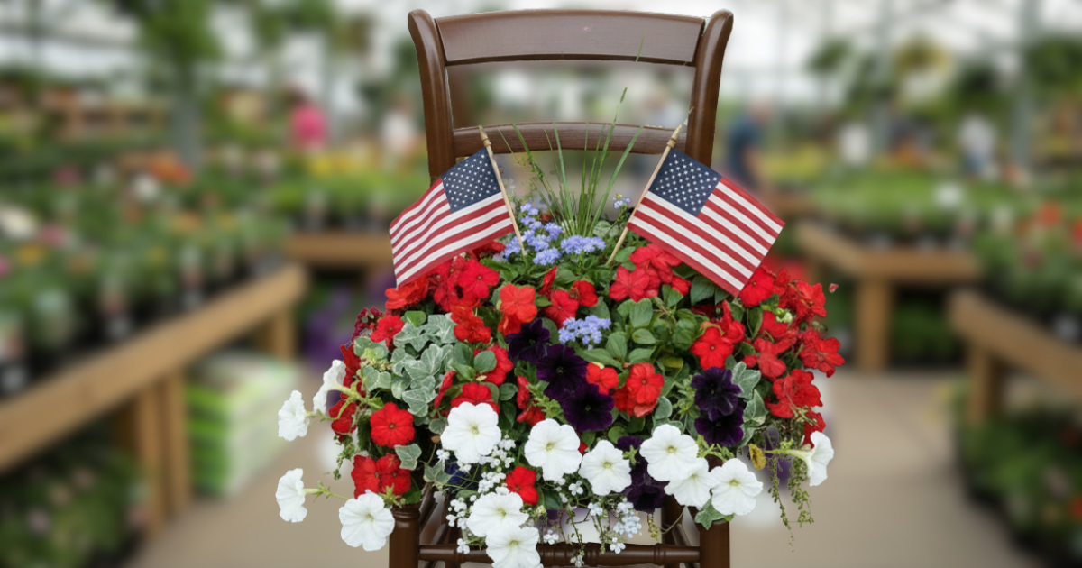 Patriotic Chair Planter | June 17 5pm-7pm