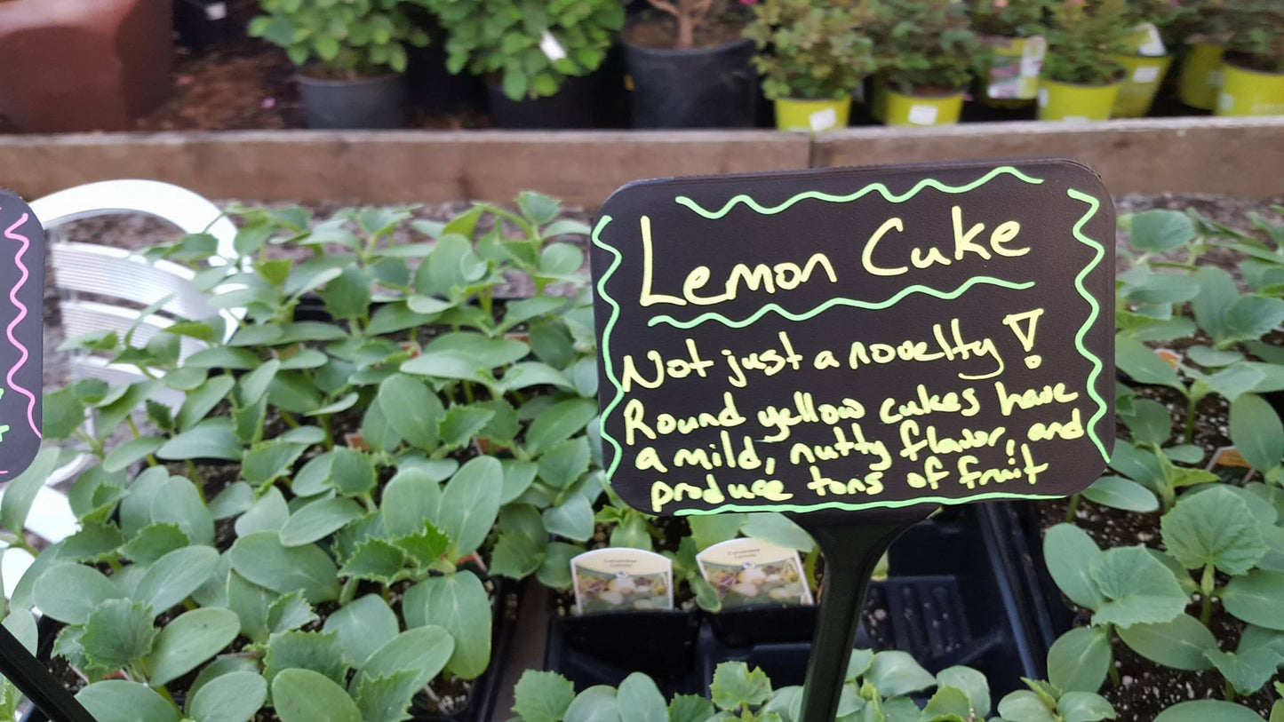 Food Revolution Weekend | May 23-24