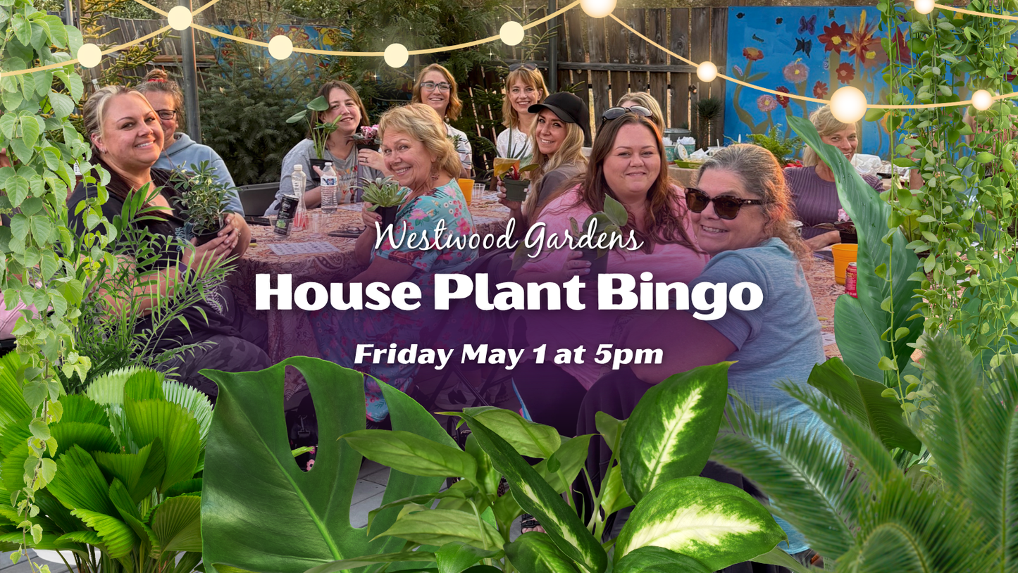 House Plant Bingo | Friday July 31 at 6pm