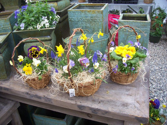 Three woven baskets filled with flowers on a wooden table with potted plants in the background.