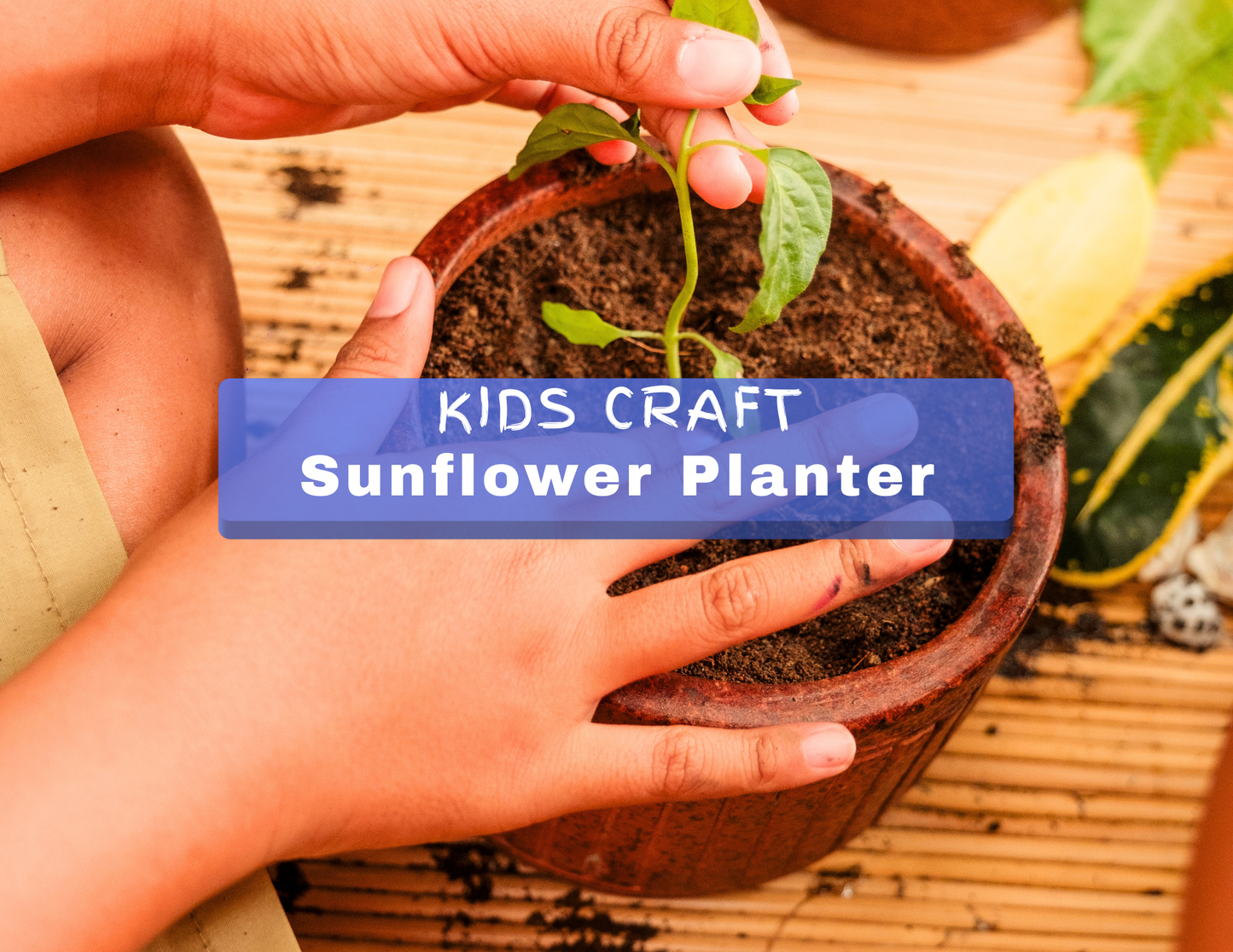 Kids Club - Sunflower Planter | July 11-12