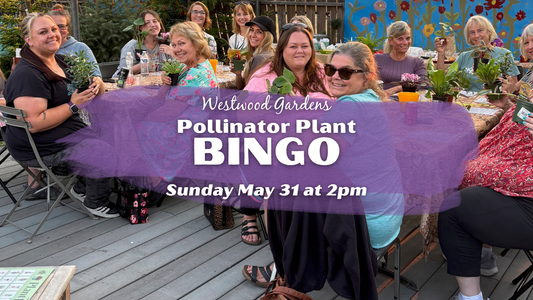 Pollinator Plant Bingo | Sunday May 31 at 2pm