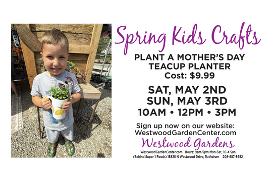 Kids Club - Mom's Day Teacup Planter | May 2-3